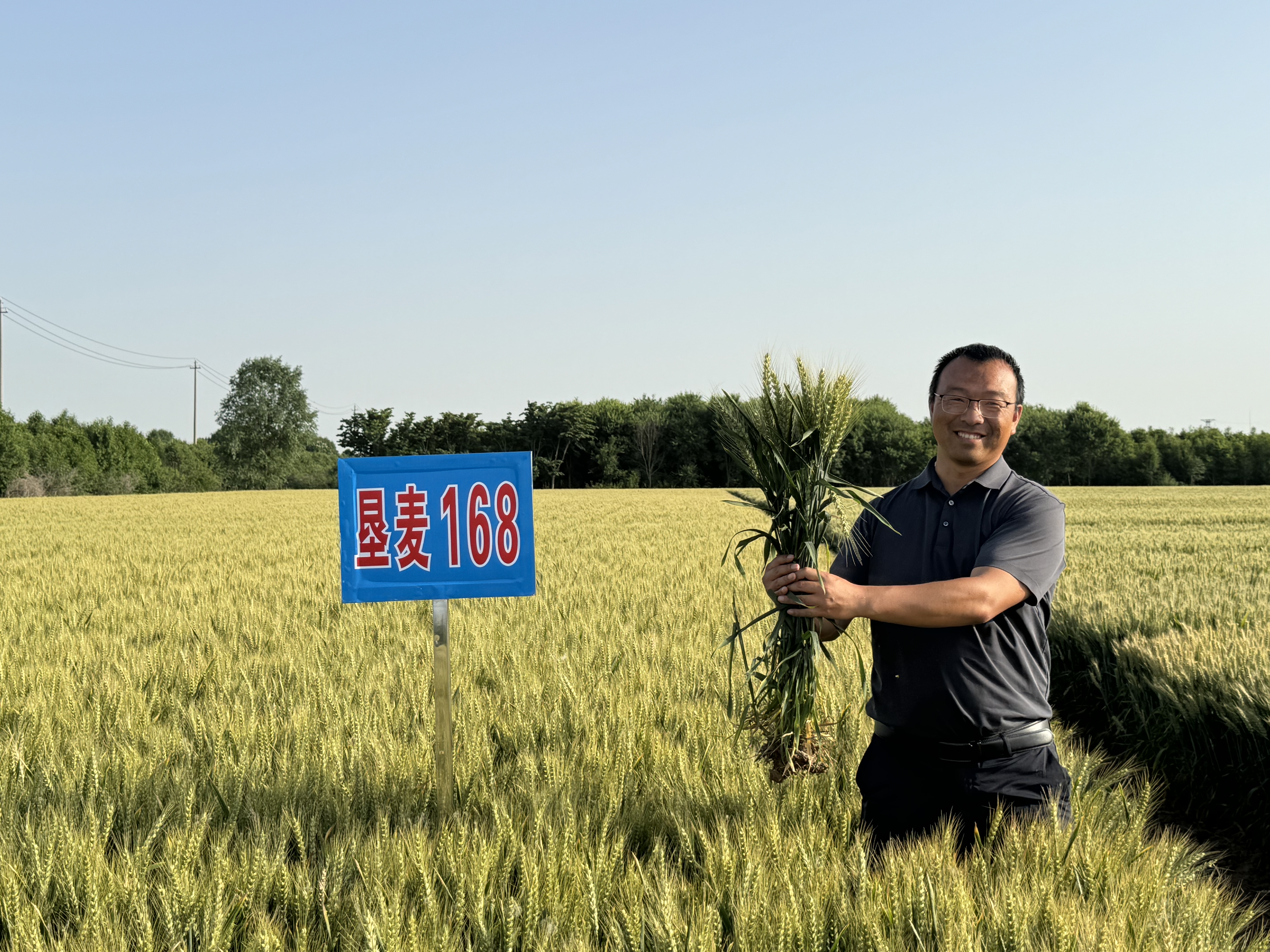 888集团电子游戏(中国区)有限公司官网