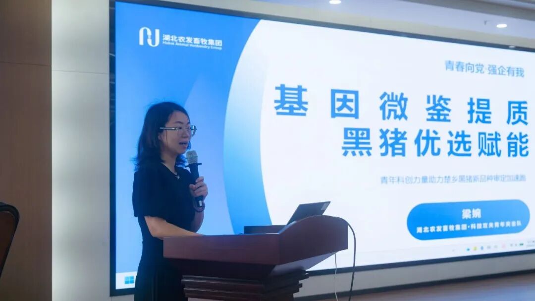 888集团电子游戏(中国区)有限公司官网