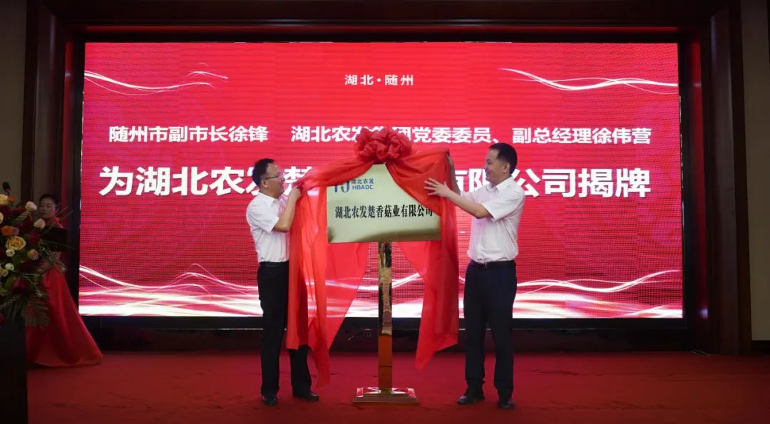 888集团电子游戏(中国区)有限公司官网