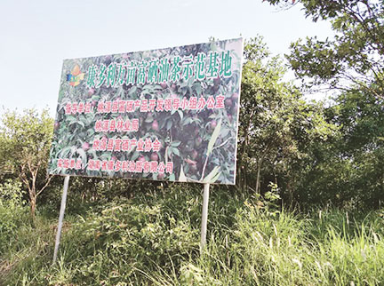 ks��ʱ��վ��(�й���)�ٷ���վ