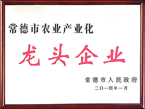 ��������2