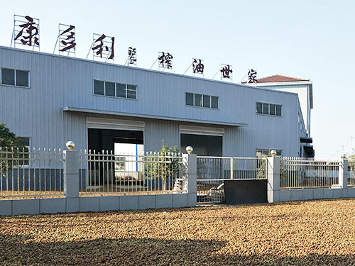 ��������չʾ