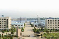 ks��ʱ,�Ͳ�ݪֲ�����ӹ�����,ֲ����ݪֲ�����ӹ�����