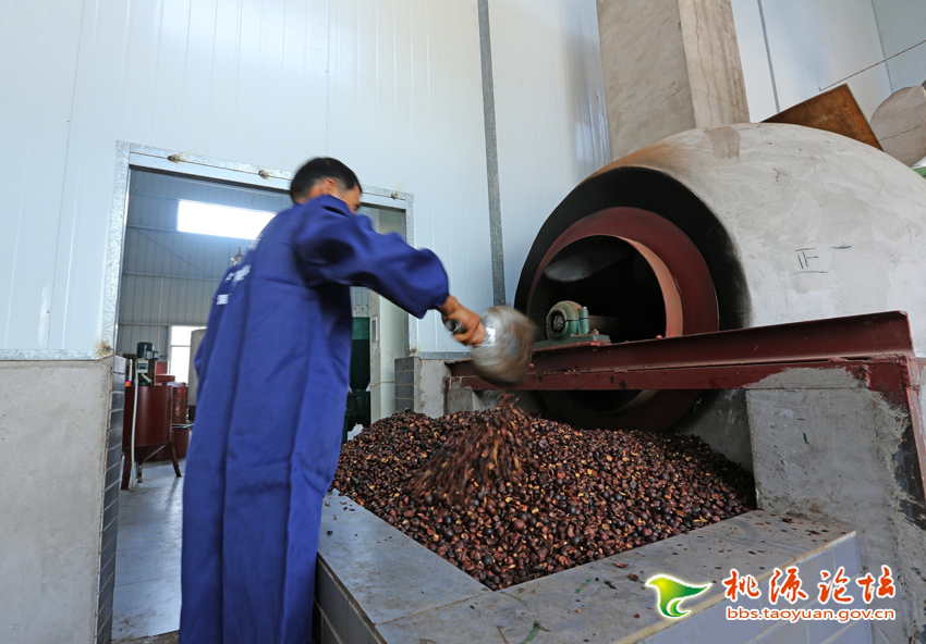 ks��ʱ,�Ͳ�ݪֲ�����ӹ�����,ֲ����ݪֲ�����ӹ�����