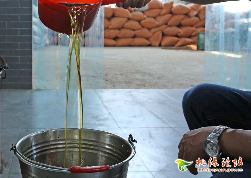 ks��ʱ,�Ͳ�ݪֲ�����ӹ�����,ֲ����ݪֲ�����ӹ�����